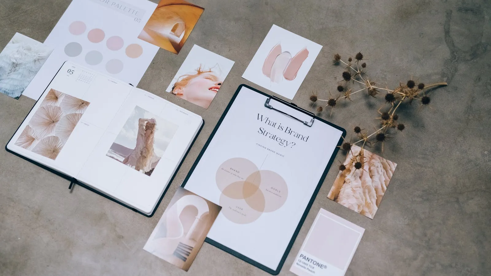 Branding and web design